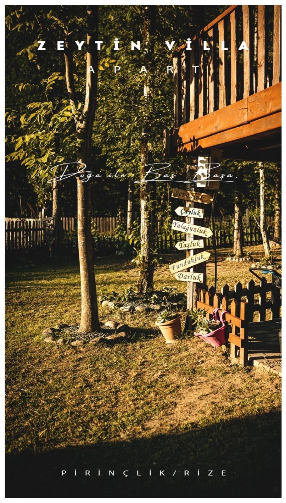 zeytin apart Ardeşen Dış mekan fotoğraf